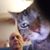 Matthew Proske's profile image