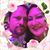 Maria Ballesteros's profile image