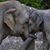 Kris Dreshar Fitch's profile image