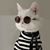 Cheyenne Marie Nadine Vestal's profile image