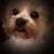 Tudor Margaret N Mike's profile image