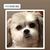 Joanie Sharp's profile image