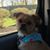 Jane M Tiller's profile image