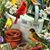 Kerri Sue Gabbard Wilson's profile image