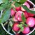 Judy Posman's profile image