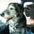 Cindy Spohr's profile image