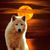 Sue Switzer's profile image