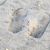 Jill Weigner Long's profile image