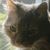 Beverly Stiltner's profile image