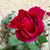 Donald A Zampa's profile image
