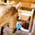 Karen Dale's profile image