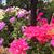 Jemmy Todd's profile image