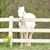Ingrid Wendl Tkach's profile image
