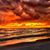 Linda Thomas Downey's profile image