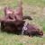 Pamela Wyn's profile image