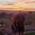 Dave Nelson's profile image