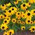 Judy R. Britton's profile image