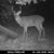 Tim Dossett's profile image
