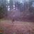 Michael A. Keely's profile image