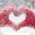Tabatha G Shawhan's profile image