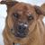 Diane Mejia Johnston's profile image