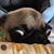 Susan A Butler's profile image