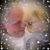 Cherryl Naish Kostman's profile image