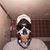 Trevor Bierman's profile image