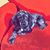 Sheri Reis MacKinnon's profile image