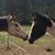 David D. Rogers's profile image