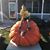 Jeff Lawrence's profile image