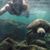 Robyn Roberts's profile image