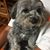 Patty Barger's profile image