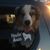 Gayle Ferebee's profile image