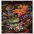 Marjorie Draughn's profile image
