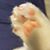 Patti Roche-Harrison's profile image