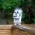 Dawny Vilomah Creasy's profile image