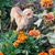 Annette Mabel Hall's profile image