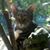 Susan Sather's profile image