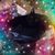 Allison N Carter's profile image