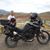 Randy Kotka's profile image