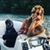 Naomi Lynn Klepper's profile image
