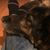 Lisa Green Thomaschek's profile image
