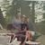 Sheryl Mitchell's profile image