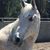 Robyn Tucker's profile image