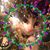 Cheryl Eaton Duncan's profile image