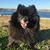 Ellen Lundie's profile image
