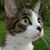 Yvonne Dunphe's profile image