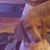 Tammy Hunter's profile image