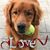 Michele Nichols Ferro's profile image
